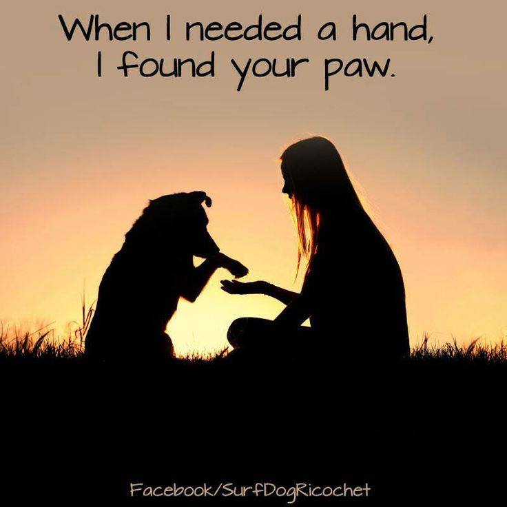 i_found_your_paw_when_i_needed_a_hand.jpg