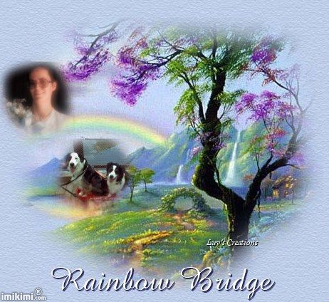 karen_nick_diamond_rainbowbridge.jpg