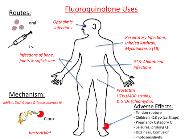 floroquinolones.png